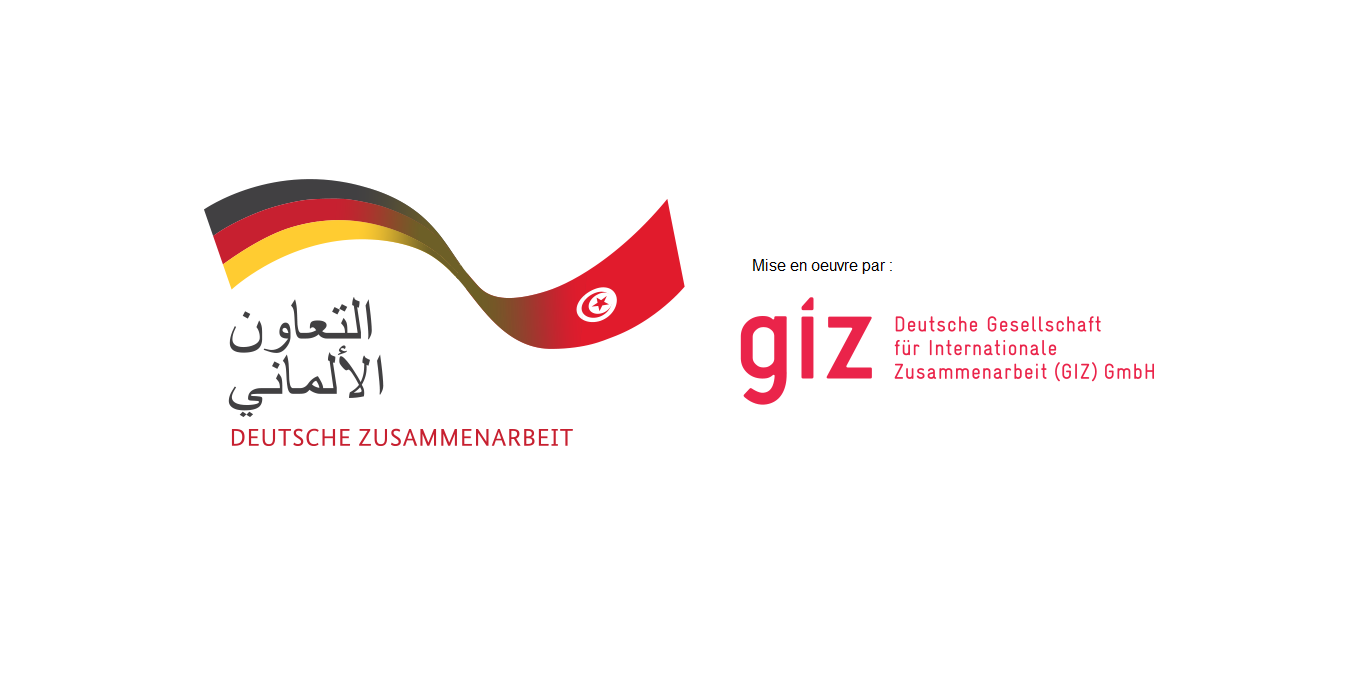 GmbH_logo_Coop_GIZ_SansTexte (1).png